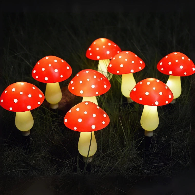 Forage