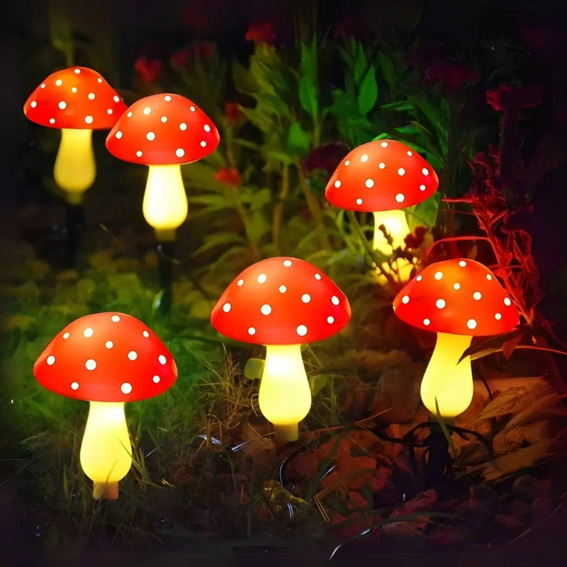 Forage