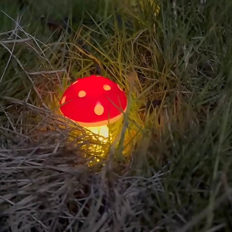Forage thumbnail 6